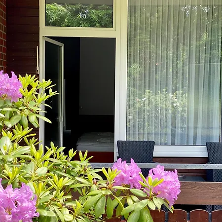 Adamidis Altenmedingen